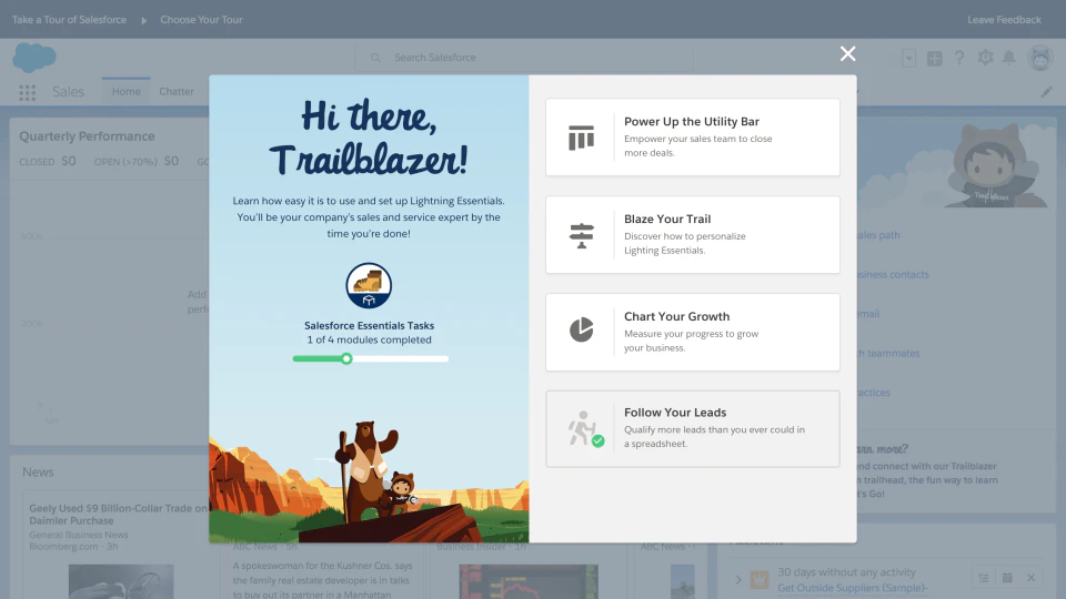 screenshot of Salesforce Starter